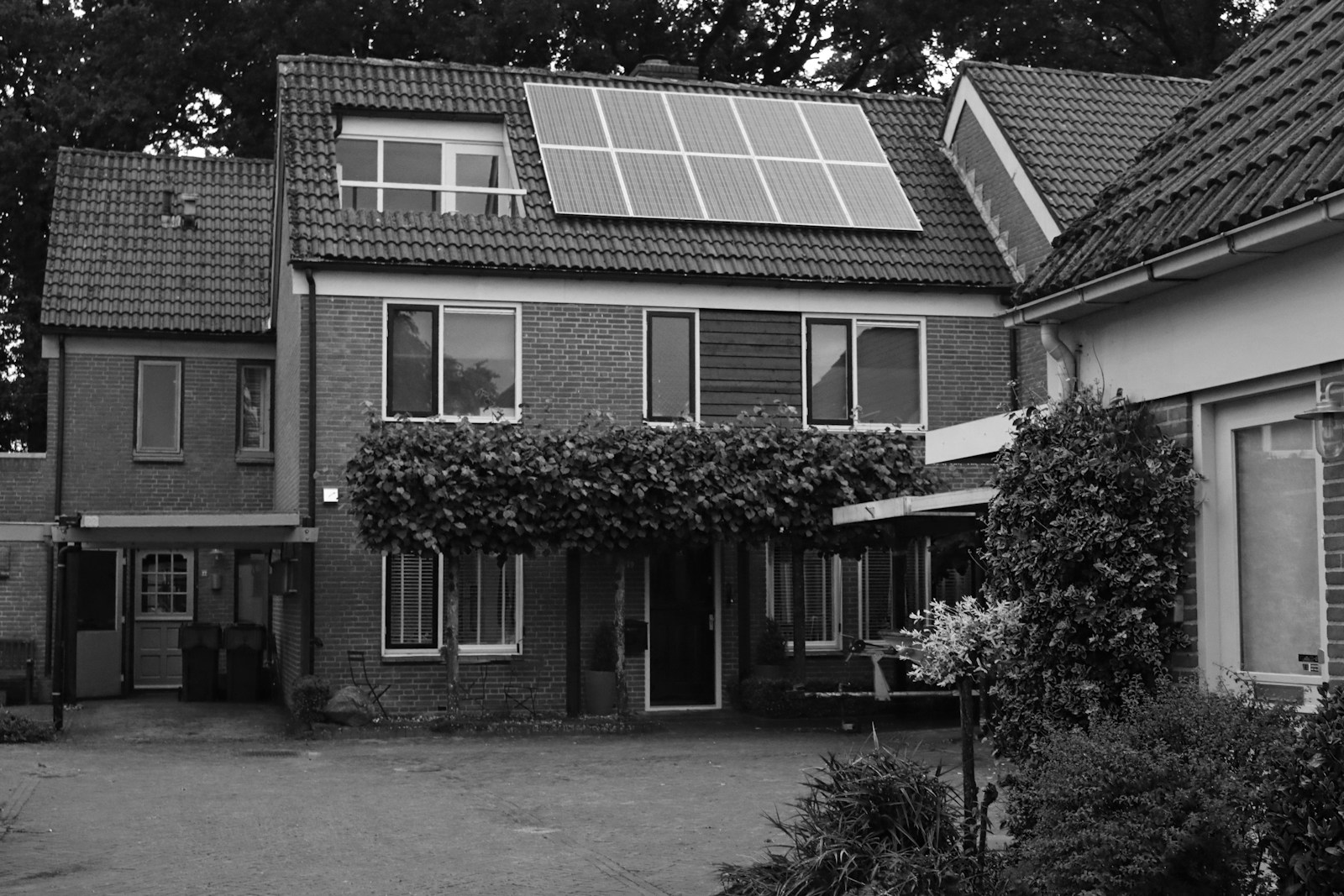 Zonnepanelen Installeren: Ontdek de Opbrengst en Ervaringen van Gebruikers