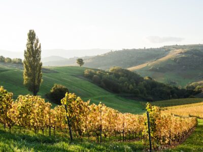 B&B Vol Liefde 2026: Nisha Tara in Lot-et-Garonne — herberg, retraite en grootse plannen