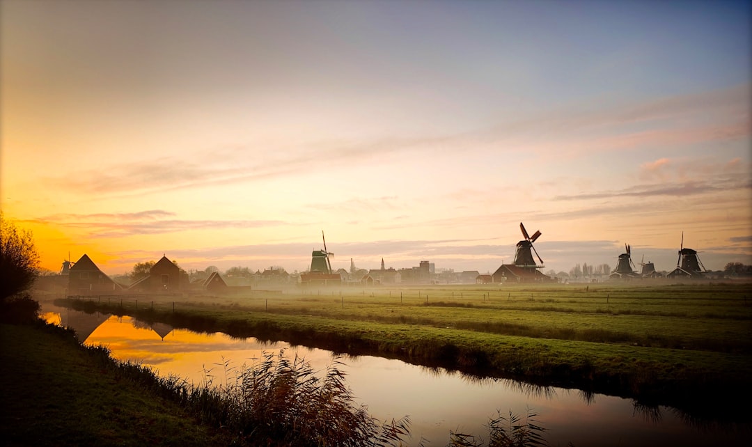Drents landschap met bos