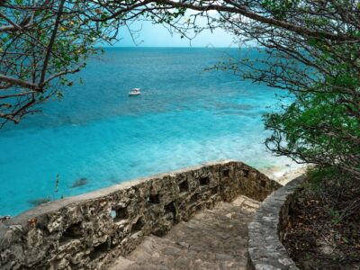 Fred (67) uit B&B Vol Liefde 2026: kunstenaar met een B&B op Bonaire
