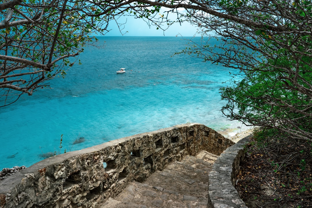 Fred (67) uit B&B Vol Liefde 2026: kunstenaar met een B&B op Bonaire