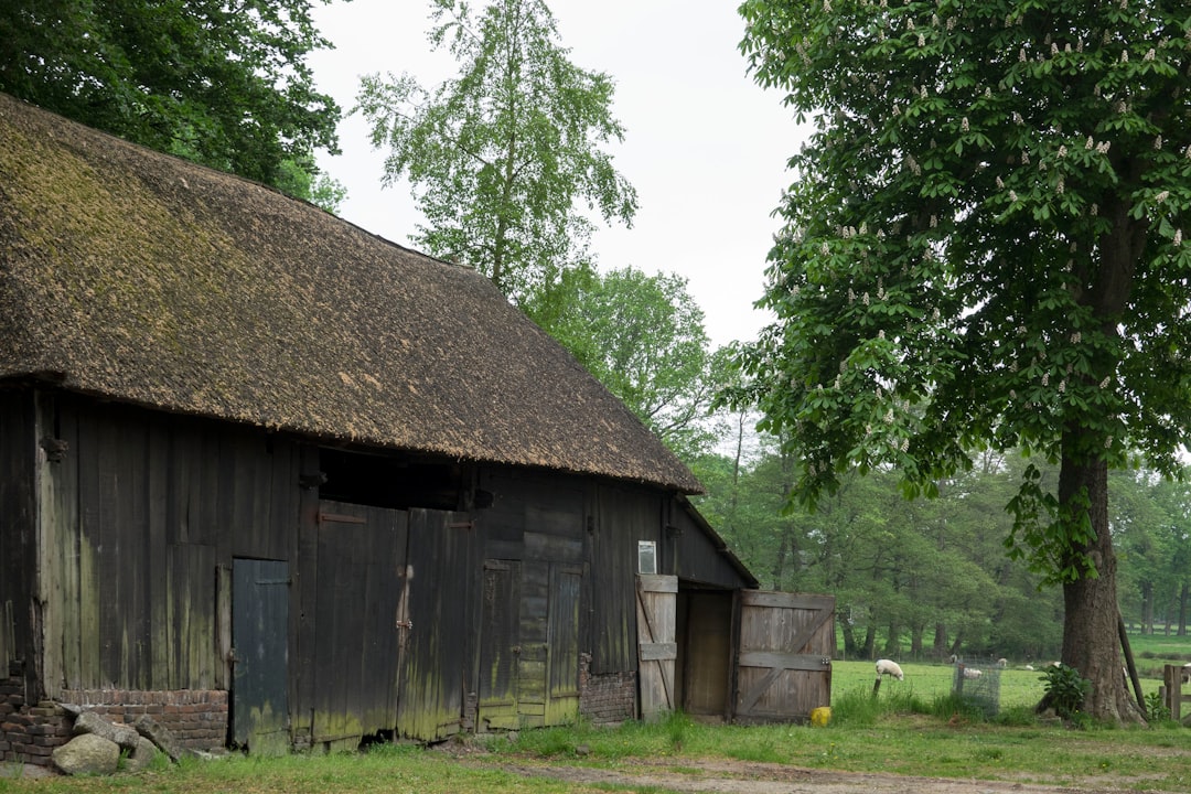 Gelderse woonboerderij