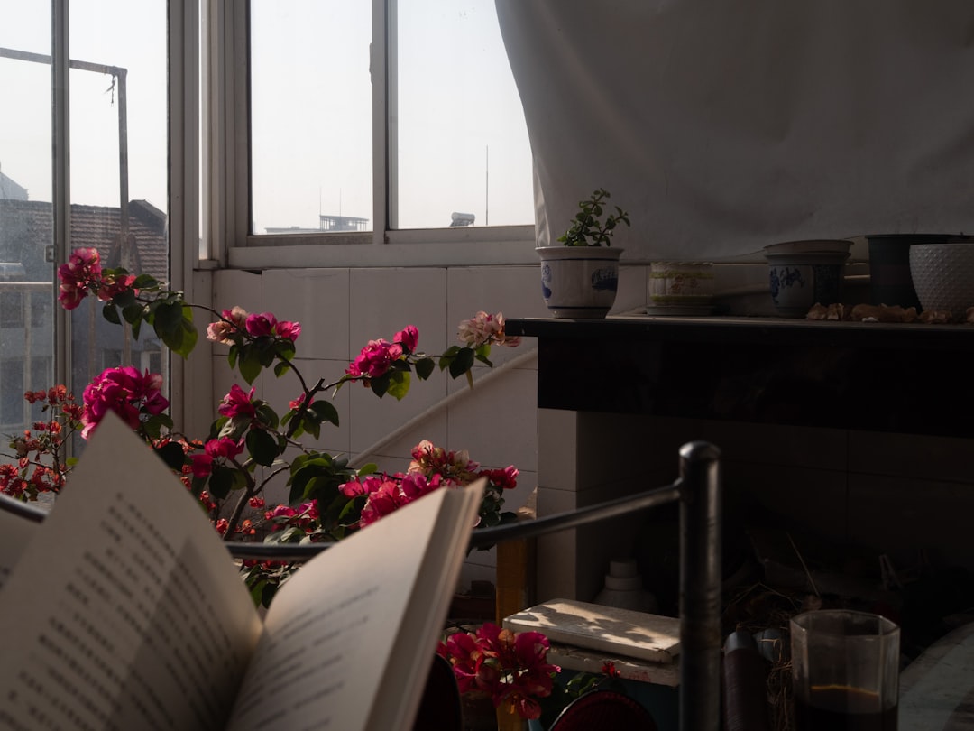 Leeshoek met planten in de erker