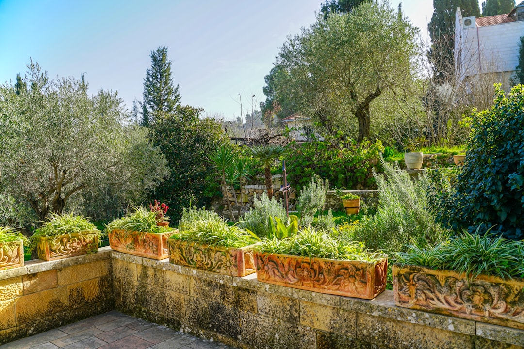 B&B-tuin Mediterraan