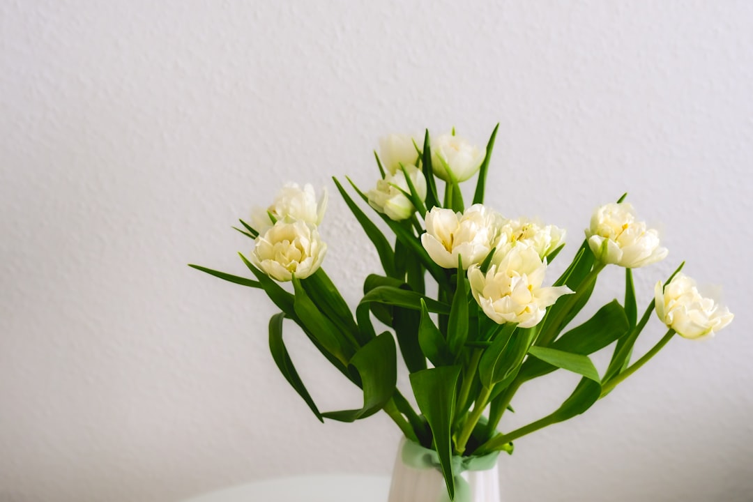 Tulpen in een vaas binnenshuis