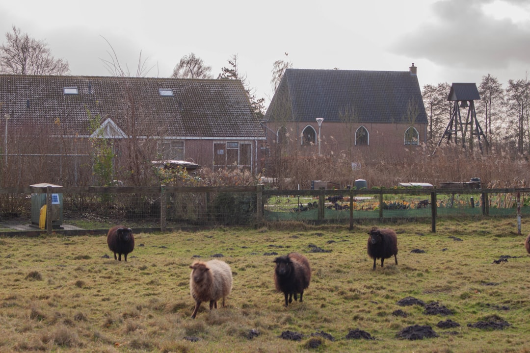 Dorp Soest