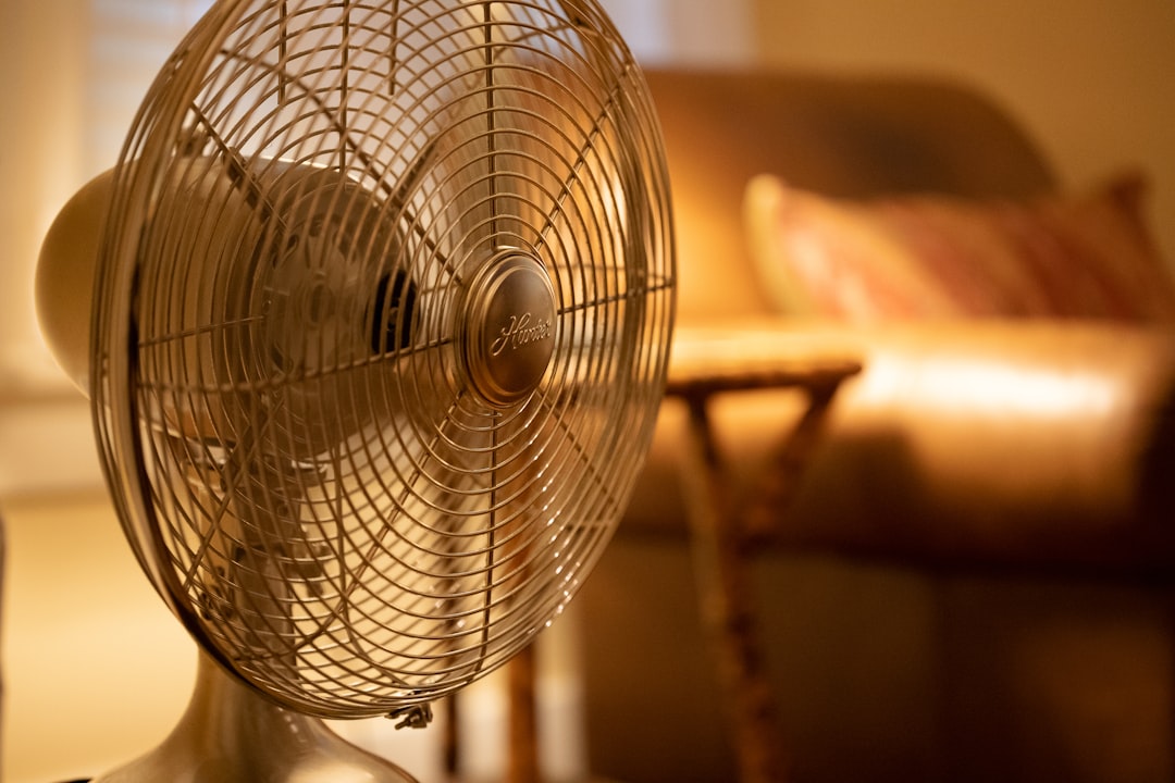 Living room fan
